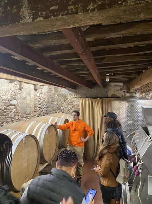 Tuscan Wine Tour by van from Pisa - Final Thoughts