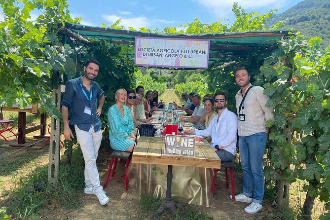 Tuscan Wine Tour in Lucca by Shuttle - Pickup and Transportation