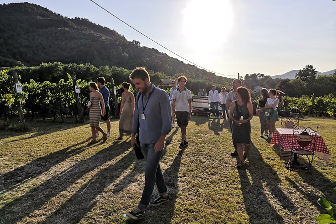 Tuscan Wine Tour in Lucca by Shuttle - Positive Experiences With Tour Guides