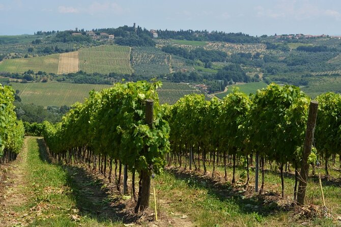 Tuscan Wine Tour in San Gimignano: Tastings and Lunch - Tour Highlights