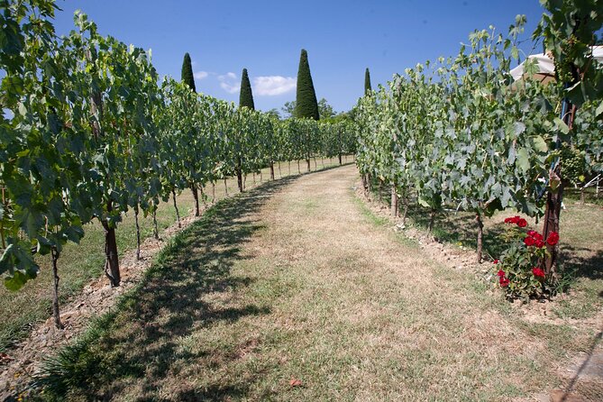 Tuscan Wine Tour in San Gimignano: Tastings and Lunch - End Point and Cancellation Policy