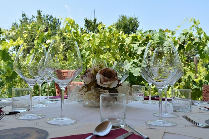Tuscan Wine Tour in San Gimignano: Tastings and Lunch - Traveler Photos and Reviews