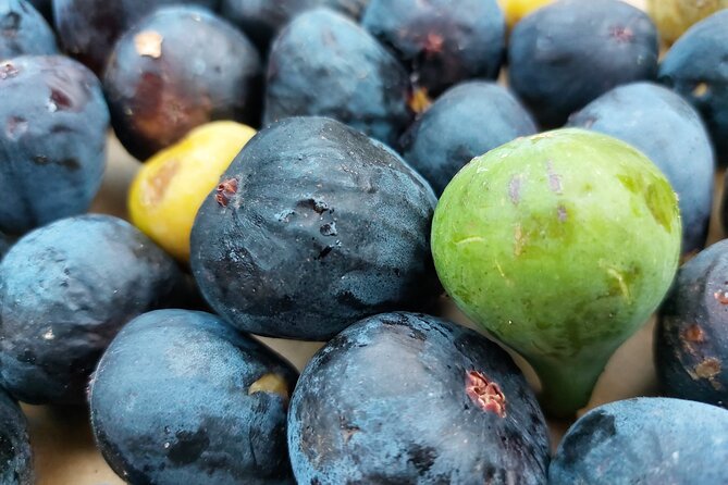 Tuscan World Famous Cuisine Activity With a Local Food Expert - Additional Information