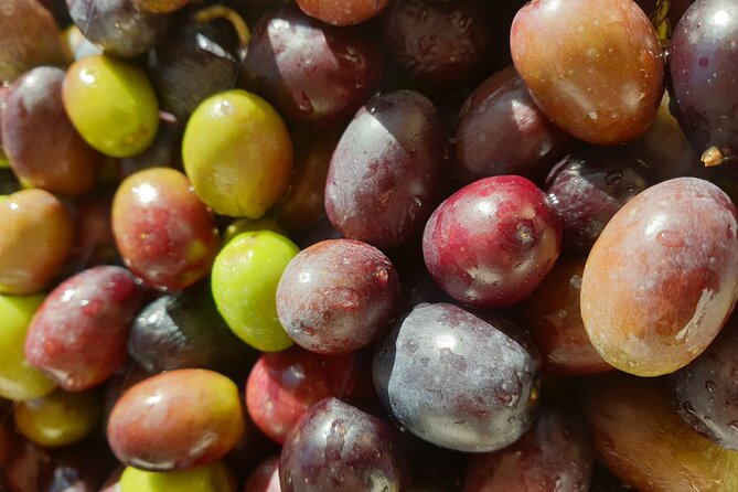 Tuscan World Famous Cuisine Activity With a Local Food Expert - Cancellation Policy