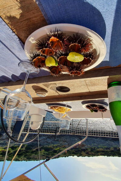 Tuscany: Argentario Archipelago Sailing Day Trip - Safety Information