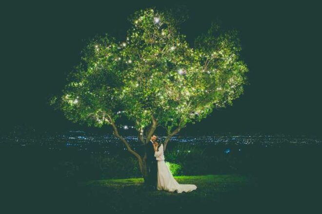 Tuscany: Book a Professional Photographer - Photography Highlights and Features