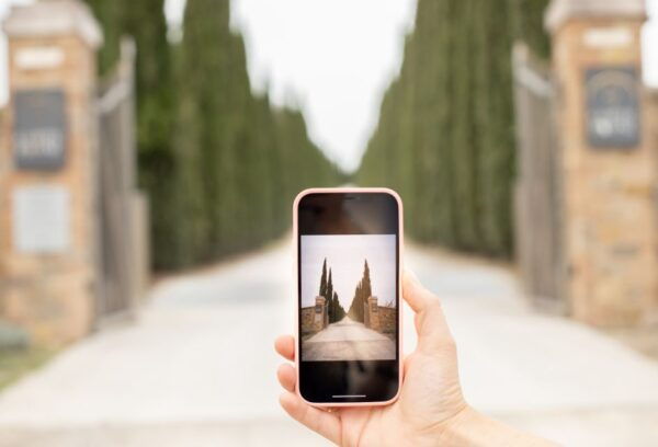 Tuscany: Classic Wine Tasting - Customer Reviews