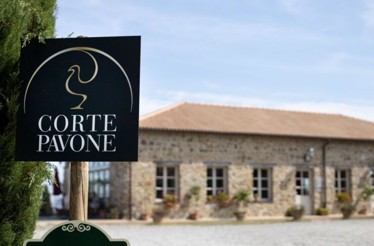 Tuscany: Classic Wine Tasting - Booking Information