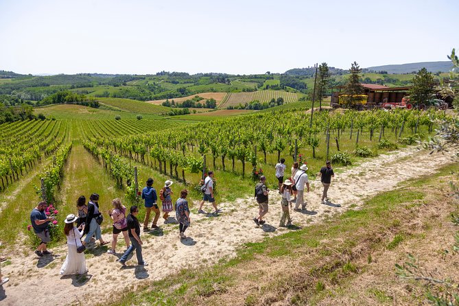 Tuscany Day Trip From Florence: Siena, San Gimignano, Pisa and Lunch at a Winery - Inclusions