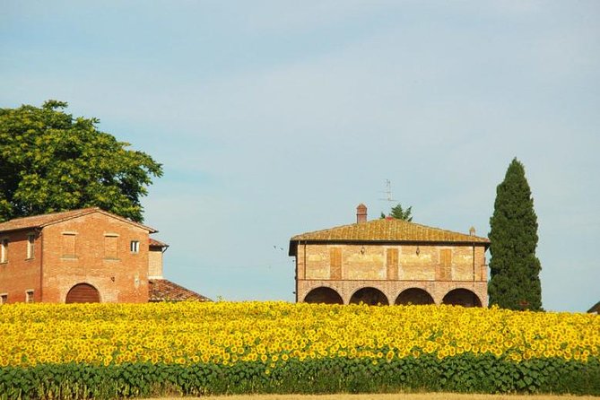 Tuscany From Rome , Montepulciano & Pienza With Wine Tasting and Lunch Included - Reviews and Ratings