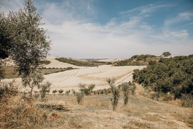 Tuscany From Rome With Winery Lunch & Medieval Towns - The Sum Up