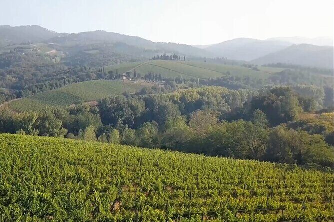 Tuscany Grand Tour from Florence: Pisa,Chianti Wine Tasting,Siena - What We Think