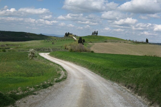 Tuscany Hiking Tour From Siena Including Wine Tasting - Scenic Hike on Via Francigena
