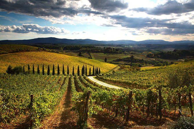 Tuscany Hiking Tour From Siena Including Wine Tasting - Wine Tasting and Food Pairing