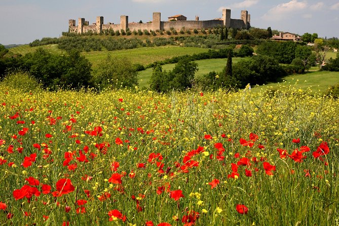 Tuscany Hiking Tour From Siena Including Wine Tasting - Positive Feedback on Guides