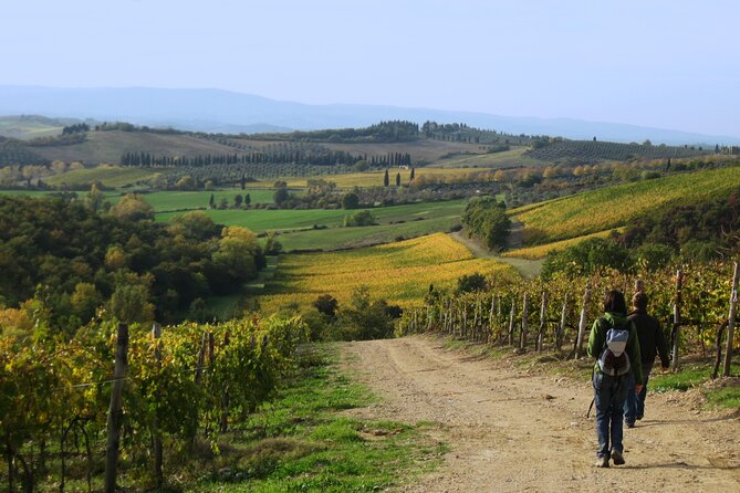 Tuscany Hiking Tour From Siena Including Wine Tasting - Overall Tour Experience
