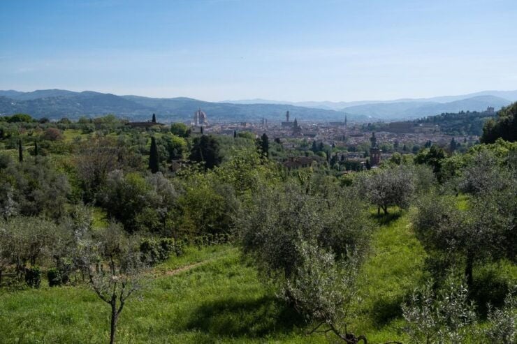 Tuscany Hills Bike Tour With Lunch at Farm and Wine Tasting - Tour Duration and Group Size