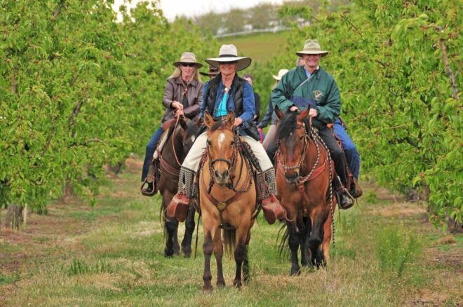 Tuscany: Horseback Riding Adventure With Lunch in a Winery - Important Information