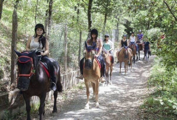 Tuscany: Horseback Riding Adventure With Lunch in a Winery - Directions