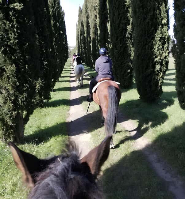 Tuscany: Horseback Riding Experience in Buonconvento - Final Thoughts