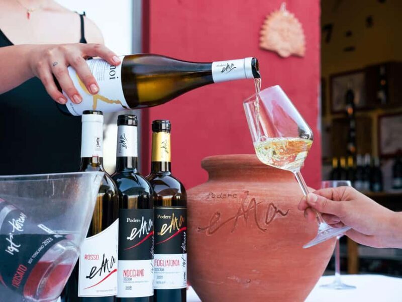 Tuscany: Immersive Winery + tasting (4 wines) - Value and Overall Impression