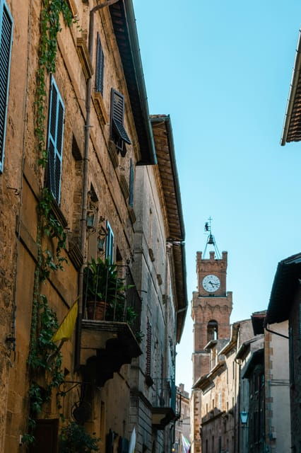 Tuscany in a Day: Pisa, San Gimignano and Siena Private Tour - Accessibility Features