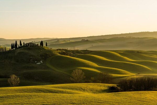 Tuscany in a Day: Pisa, San Gimignano and Siena Private Tour - Optional Stops