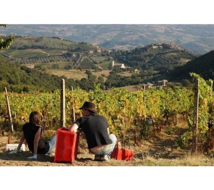 Tuscany: Montalcino Dinner at San Gimignano Winery - Final Thoughts
