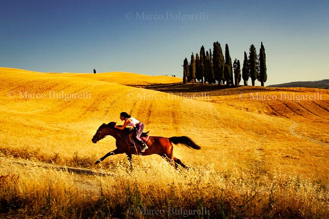 Tuscany Photo Tour With a Professional Photographer  - Arezzo - Overall Rating and Reviews