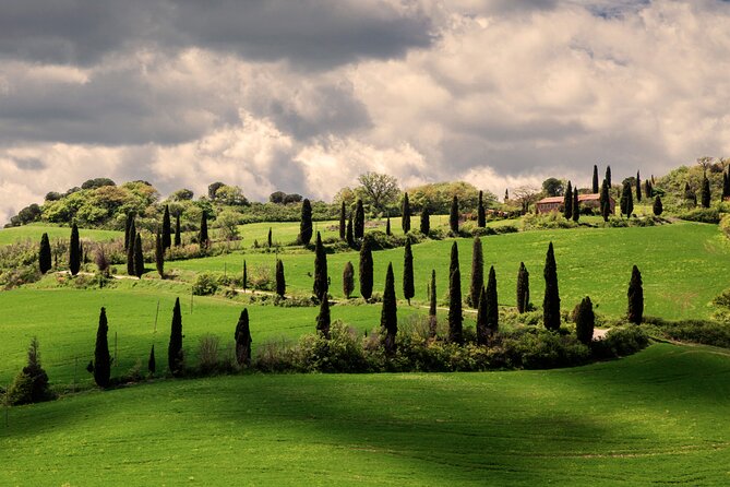 Tuscany Photo Tour With a Professional Photographer  - Arezzo - Questions and Help