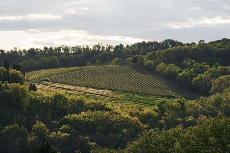 Tuscany: Picnic with Wine and Delicacies in Radda in Chianti - The Scenery and Atmosphere