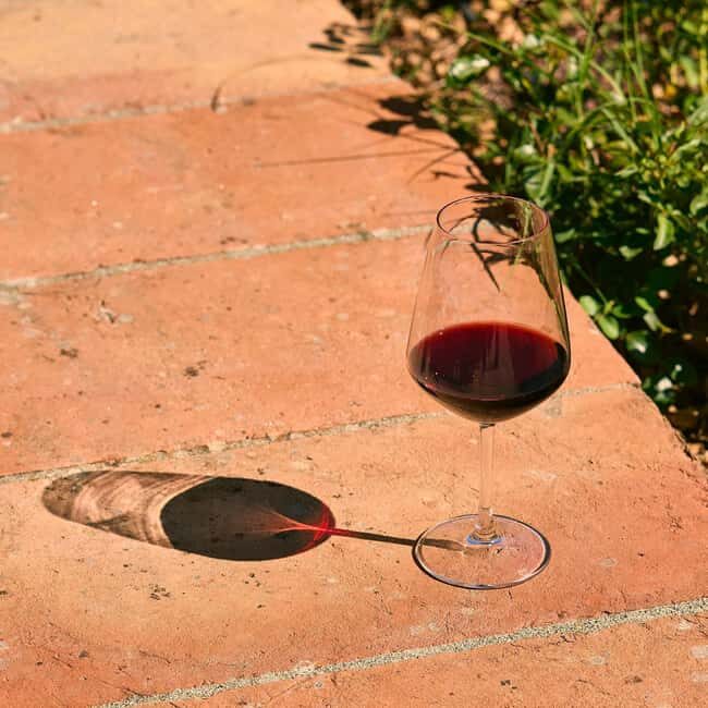 Tuscany: Picnic with Wine and Delicacies in Radda in Chianti - Who Will Love This?