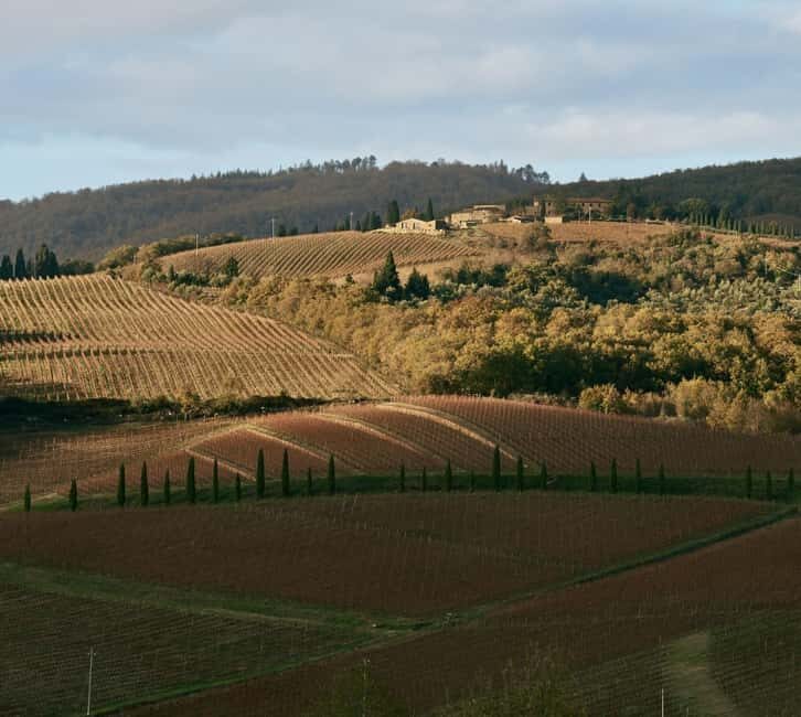 Tuscany: Picnic with Wine and Delicacies in Radda in Chianti - Final Thoughts