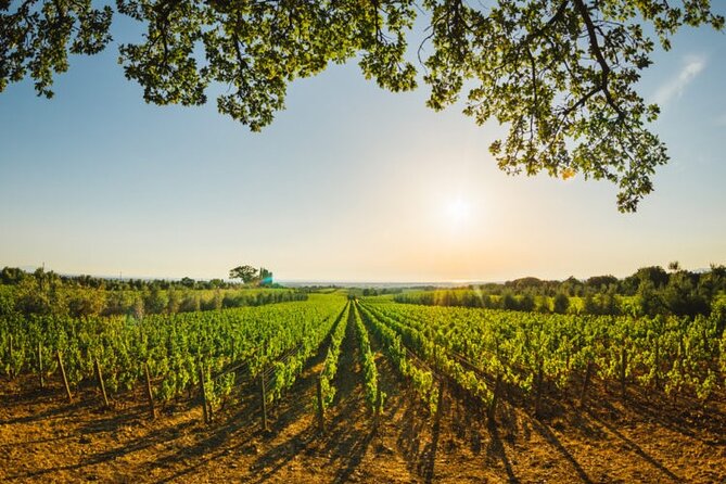 Tuscany Private Day Trip Siena and San Gimignano From Florence - Itinerary Overview