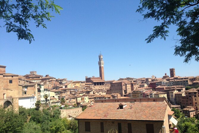 Tuscany Private Day Trip Siena and San Gimignano From Florence - Practical Information