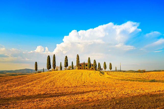 Tuscany Private Tour With Wine and Cheese Tasting From Florence - Tour Experience