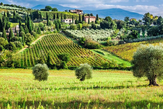 Tuscany Private Tour With Wine and Cheese Tasting From Florence - Disappointments