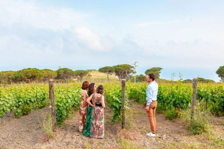 Tuscany: Ripalte Design Winery Wine and Cheese Tasting Tour - Duration and Booking Information