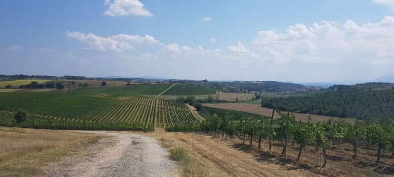 Tuscany: Siena, San Gimignano and Chianti Wine Tour - Final Thoughts