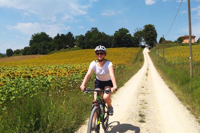 Tuscany: Small-Group Bike Tour - Florence - Tour Overview