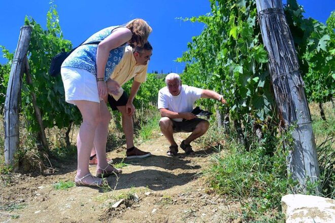 Tuscany: Small-Group Chianti Wine Tour With Lunch - Important Information
