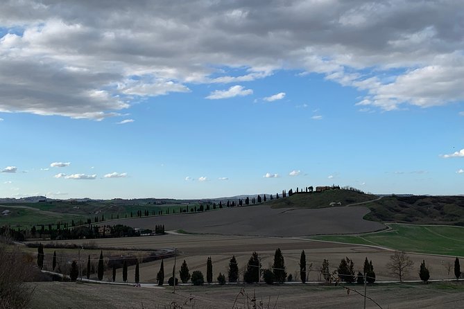 Tuscany SPA & Crete Senesi E-Bike Tour – Florence Day Trips - The Sum Up