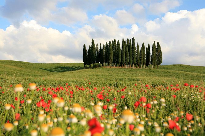 Tuscany Tour: Montepulciano, Pienza & Montalcino - Itinerary Details