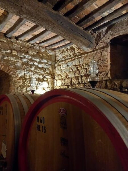 Tuscany Tour: Siena, San Gimignano and Chianti - Restrictions and Recommendations