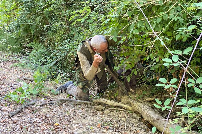 Tuscany Truffle Hunt and Lunch Plus San Gimignano Visit  - Florence - Visit to San Gimignano