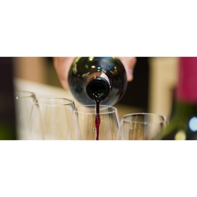 Tuscany: Truffle Hunting and Meal at a Winery - Activity Description