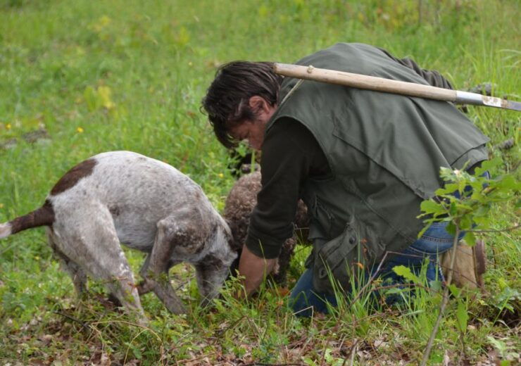 Tuscany: Truffle Hunting and Tasting - Activity Details