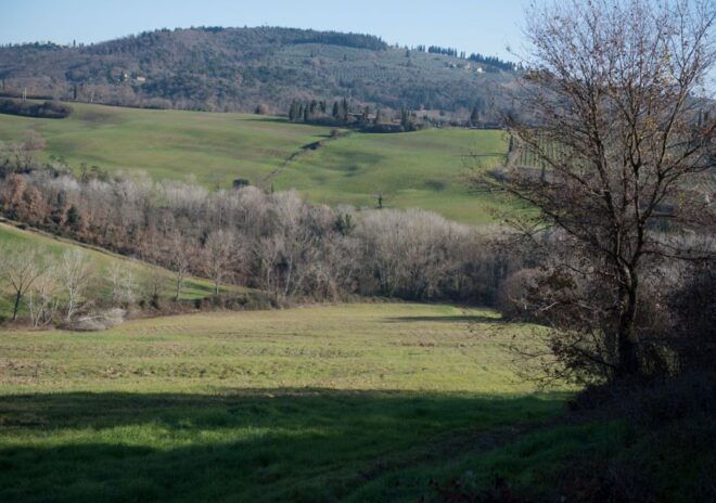 Tuscany: Truffle Hunting and Tasting - The Sum Up