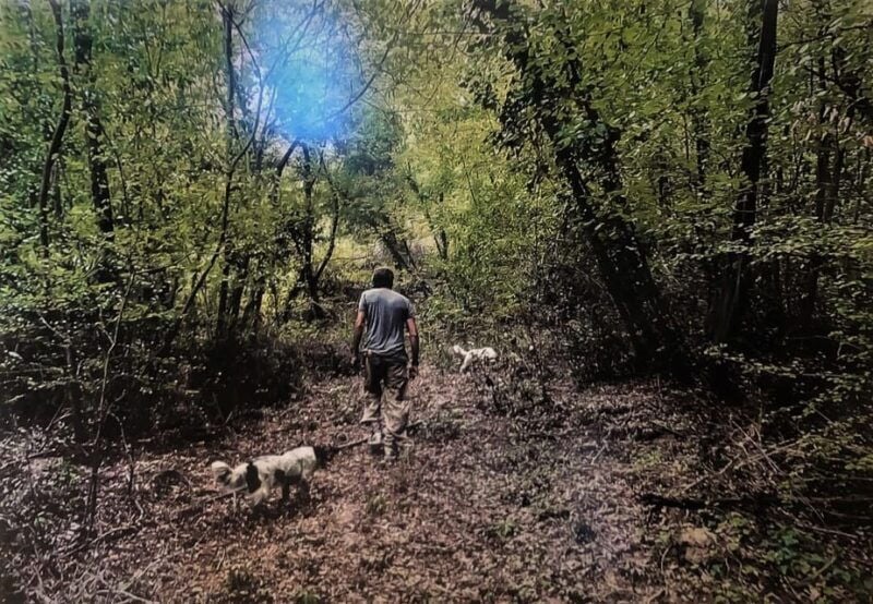 Tuscany: Truffle Hunting Experience with Tasting - Exploring the Tuscany Truffle Hunting Tour