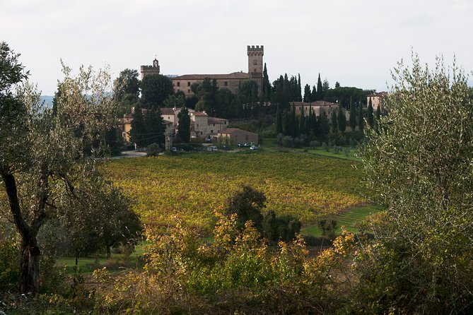 Tuscany Vespa Tours: One Day Vespa Tour Through the Hills of Chianti - Exceptional Experience and Considerations